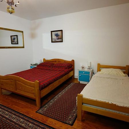 Apartman Carpe Diem Zaječar Eksteriør bilde